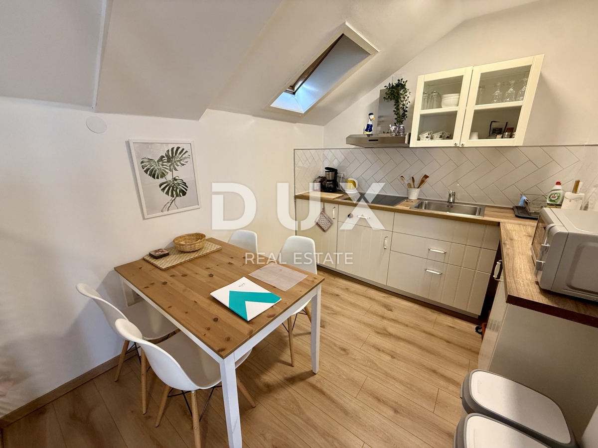 ZAGABRIA, CENTRO - appartamento duplex con tre appartamenti e ottimo reddito!