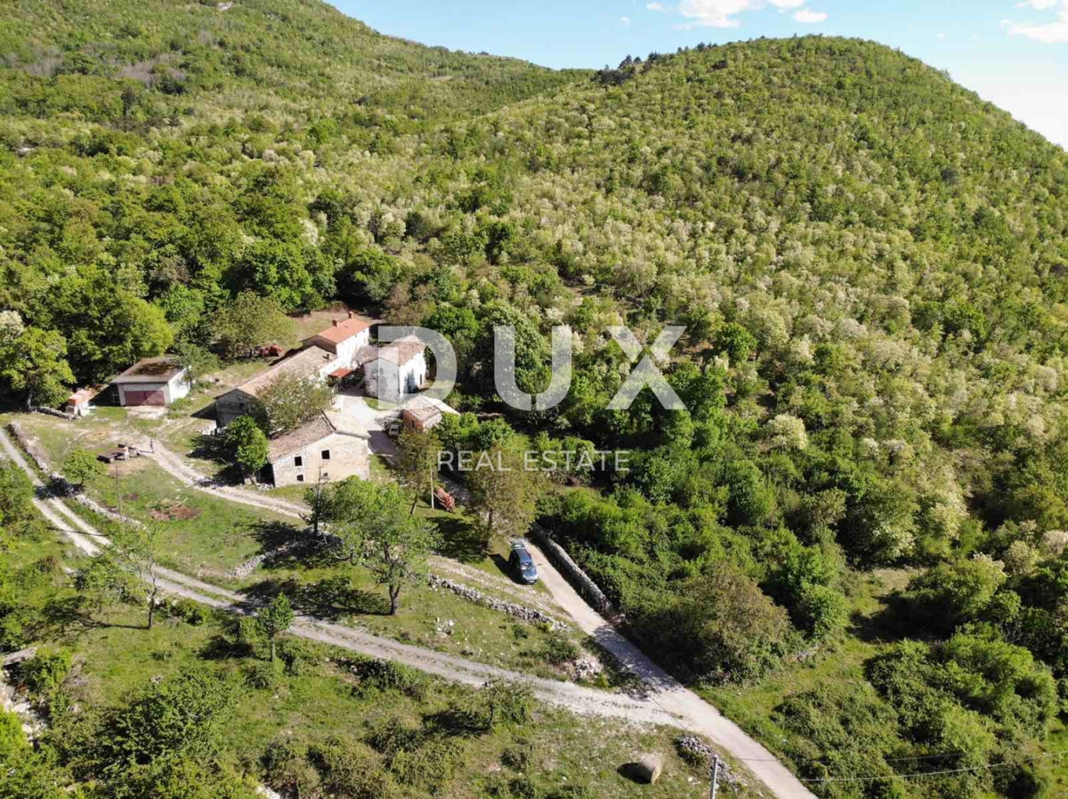ISTRIA, LUPOGLAV Bellissima fattoria ideale per agriturismo, matrimoni ed eventi! 