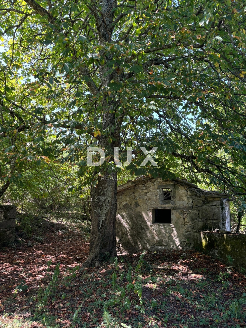 ISTRIA, LUPOGLAV Bellissima fattoria ideale per agriturismo, matrimoni ed eventi! 