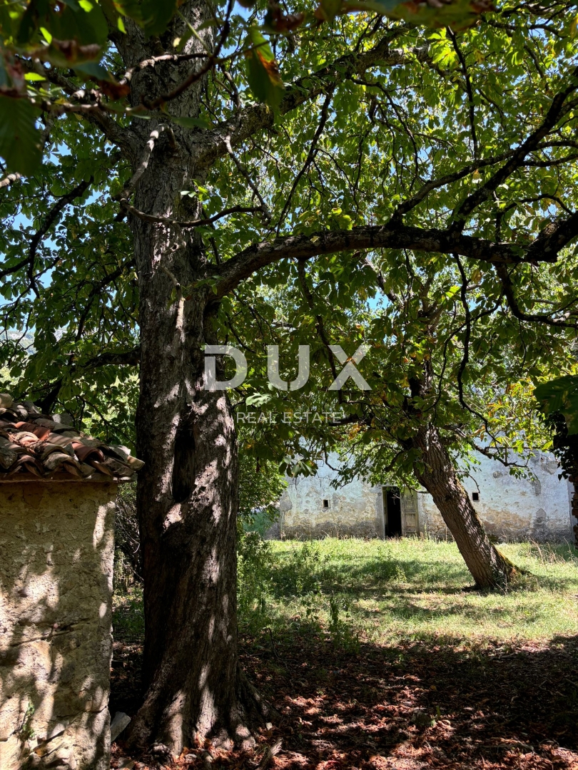 ISTRIA, LUPOGLAV Bellissima fattoria ideale per agriturismo, matrimoni ed eventi! 