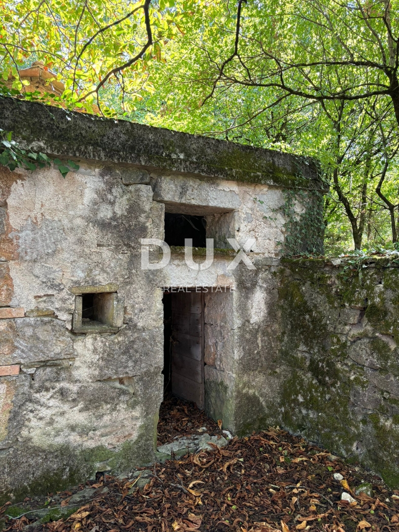 ISTRIA, LUPOGLAV Bellissima fattoria ideale per agriturismo, matrimoni ed eventi! 