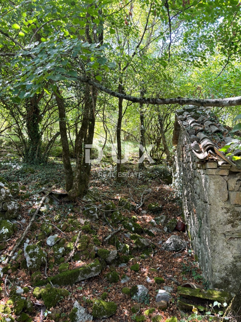 ISTRIA, LUPOGLAV Bellissima fattoria ideale per agriturismo, matrimoni ed eventi! 