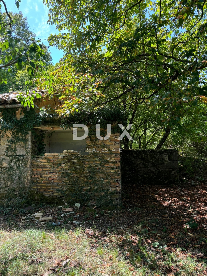 ISTRIA, LUPOGLAV Bellissima fattoria ideale per agriturismo, matrimoni ed eventi! 
