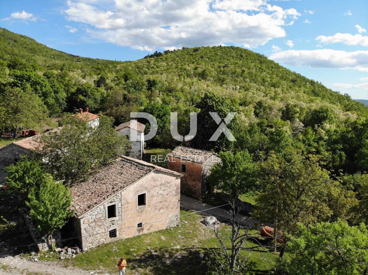 ISTRIA, LUPOGLAV Bellissima fattoria ideale per agriturismo, matrimoni ed eventi! 