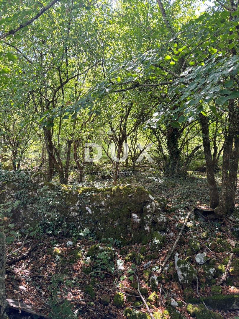 ISTRIA, LUPOGLAV Bellissima fattoria ideale per agriturismo, matrimoni ed eventi! 
