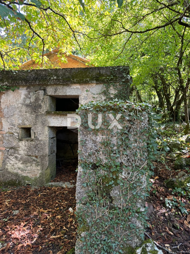 ISTRIA, LUPOGLAV Bellissima fattoria ideale per agriturismo, matrimoni ed eventi! 