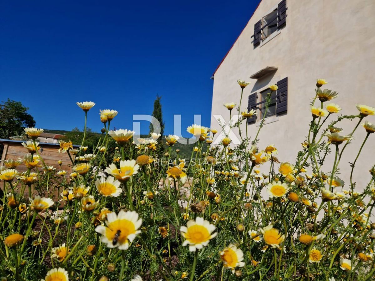 ISTRIA, RABAC - Una magica tenuta con due case vicino al mare