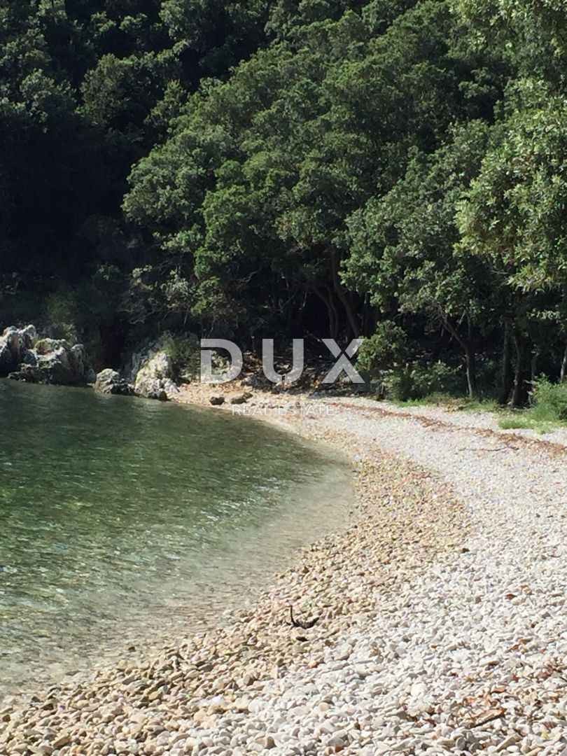 ISTRIA, RABAC - Una magica tenuta con due case vicino al mare