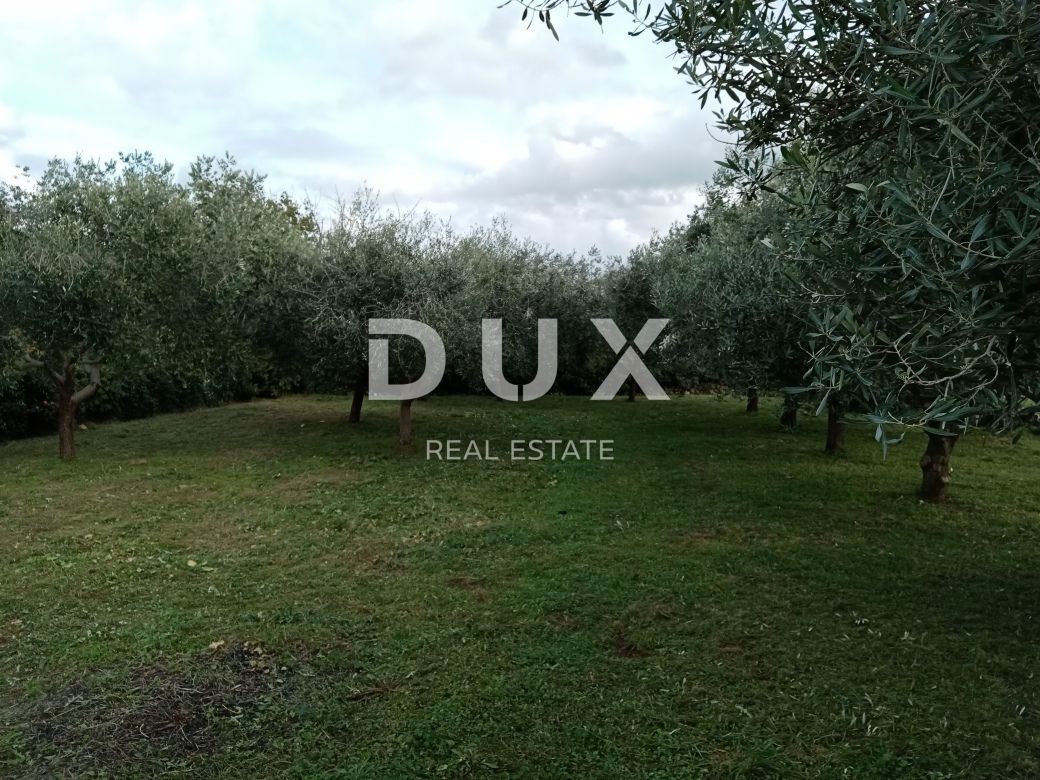 ISTRIA, MARČANA - Casa con 2 appartamenti e piscina su un ampio giardino