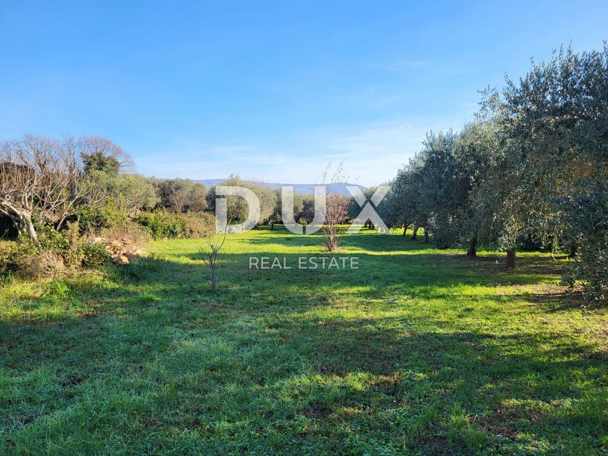 ISTRIA, MARČANA - Casa con 2 appartamenti e piscina su un ampio giardino