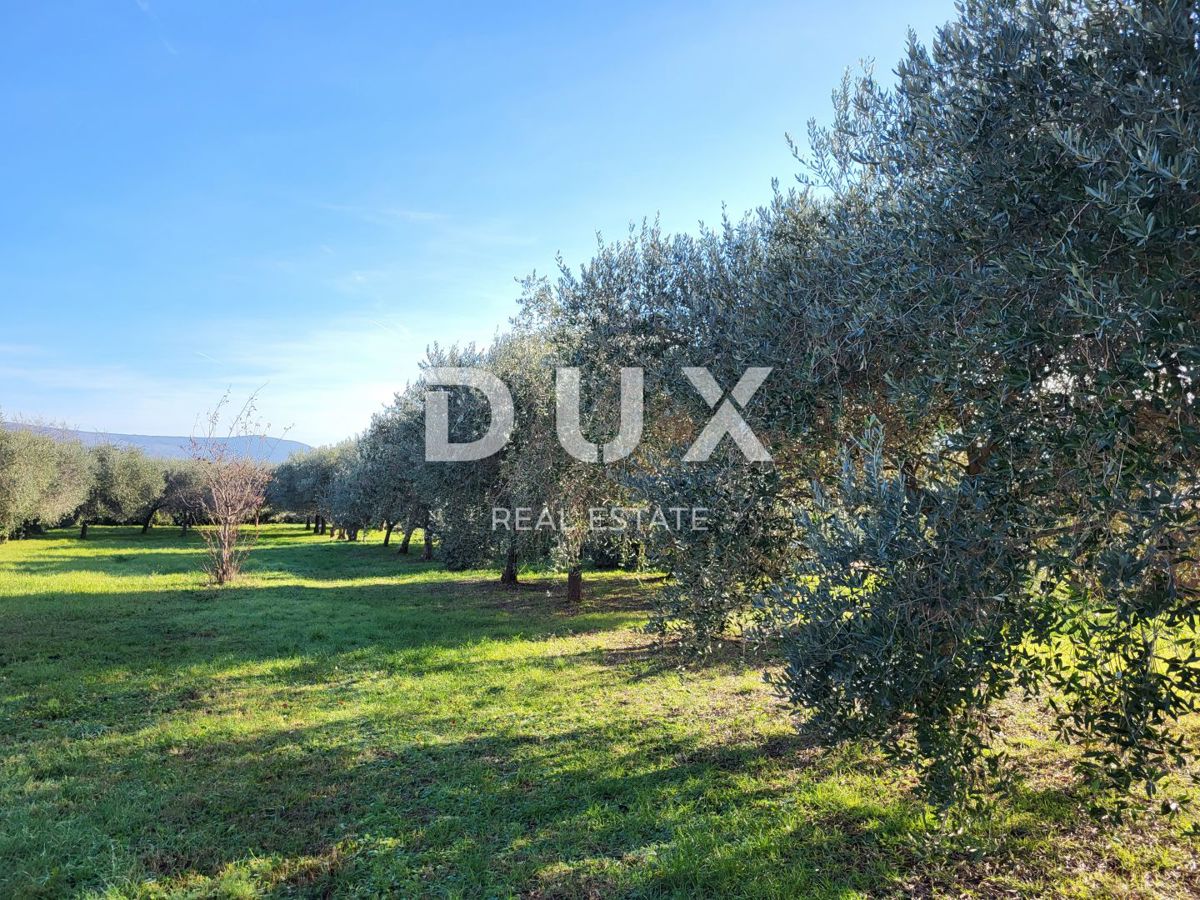 ISTRIA, MARČANA - Casa con 2 appartamenti e piscina su un ampio giardino