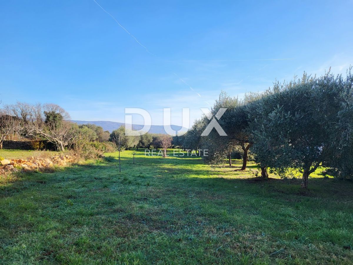 ISTRIA, MARČANA - Casa con 2 appartamenti e piscina su un ampio giardino