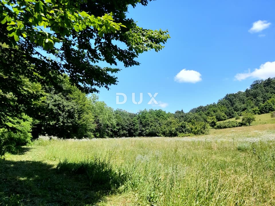 ISTRIA, PAZIN - Immobile da ristrutturare