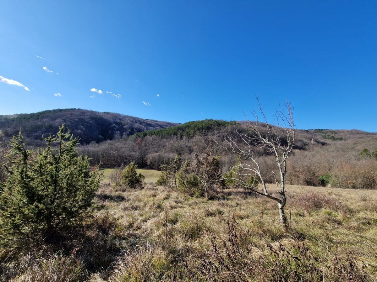 ISTRIA, PAZIN - Immobile da ristrutturare