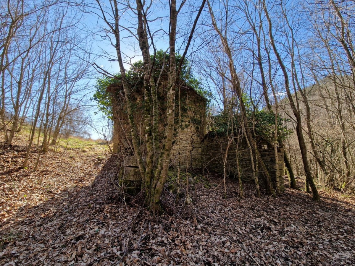 ISTRIA, PAZIN - Immobile da ristrutturare