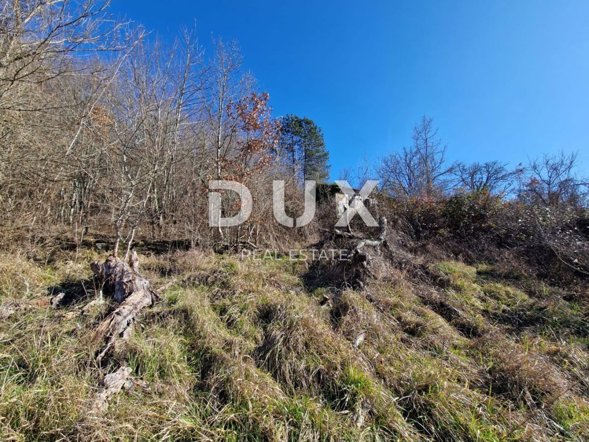 ISTRIA, PAZIN - Immobile da ristrutturare