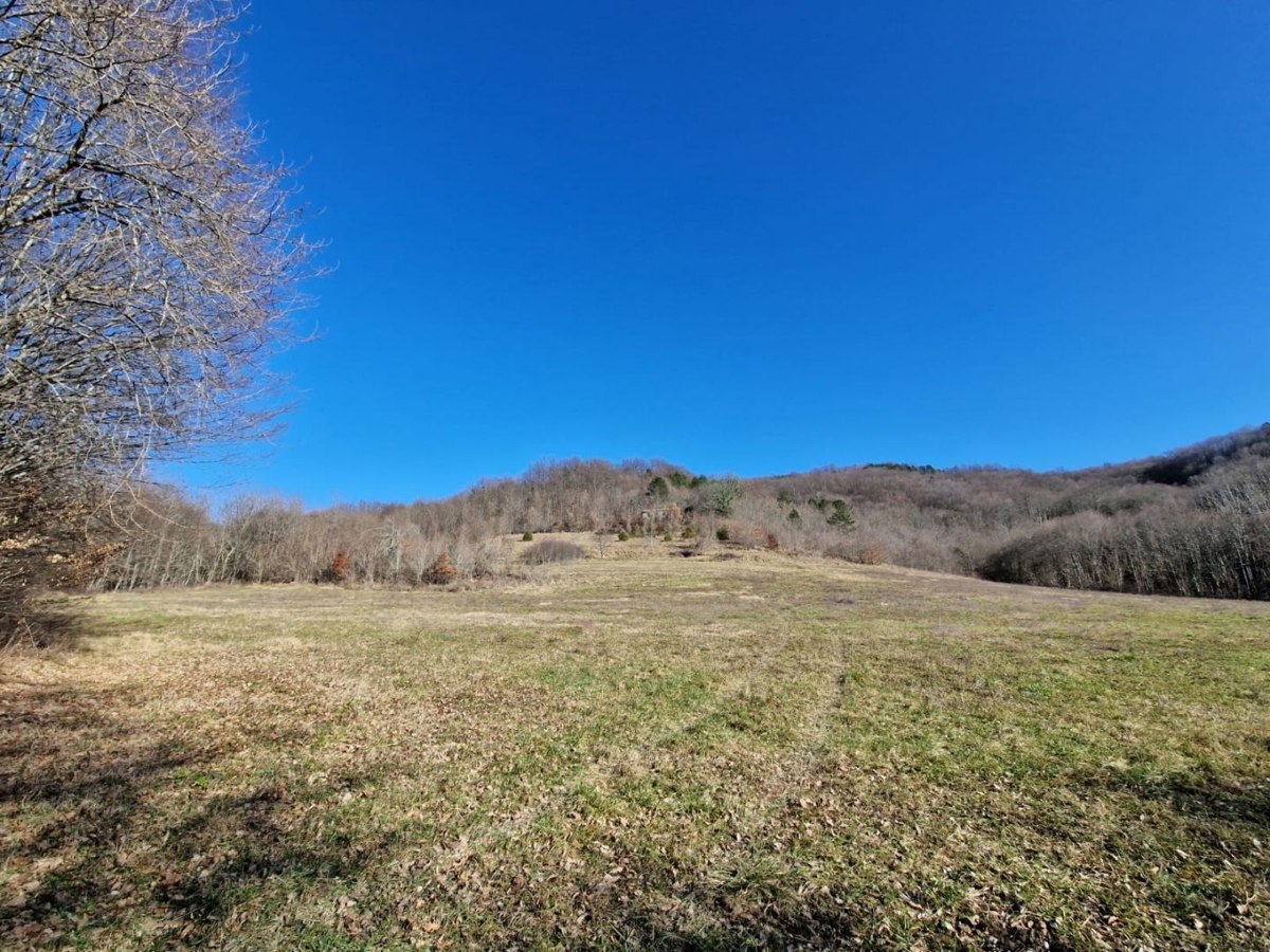 ISTRIA, PAZIN - Immobile da ristrutturare