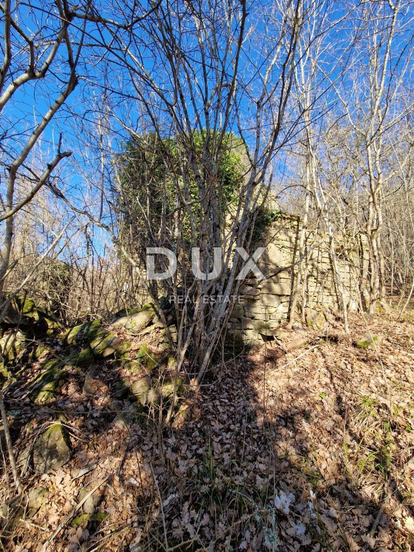 ISTRIA, PAZIN - Immobile da ristrutturare