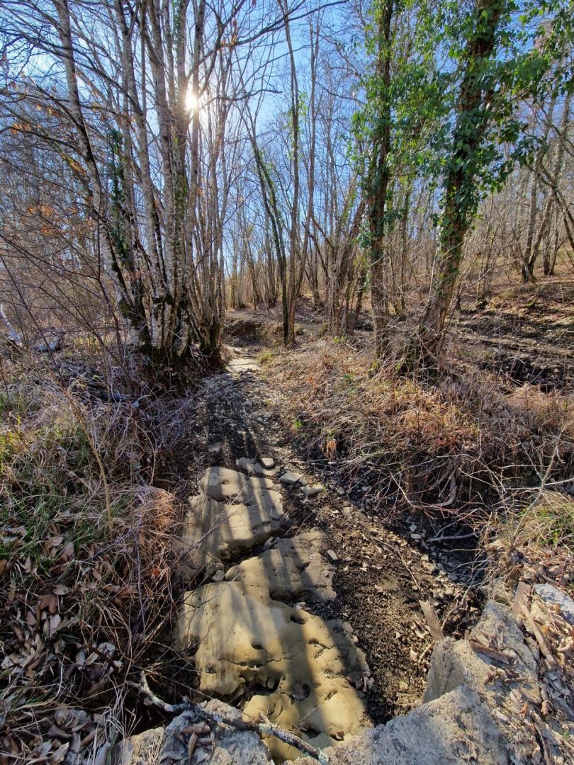ISTRIA, PAZIN - Immobile da ristrutturare