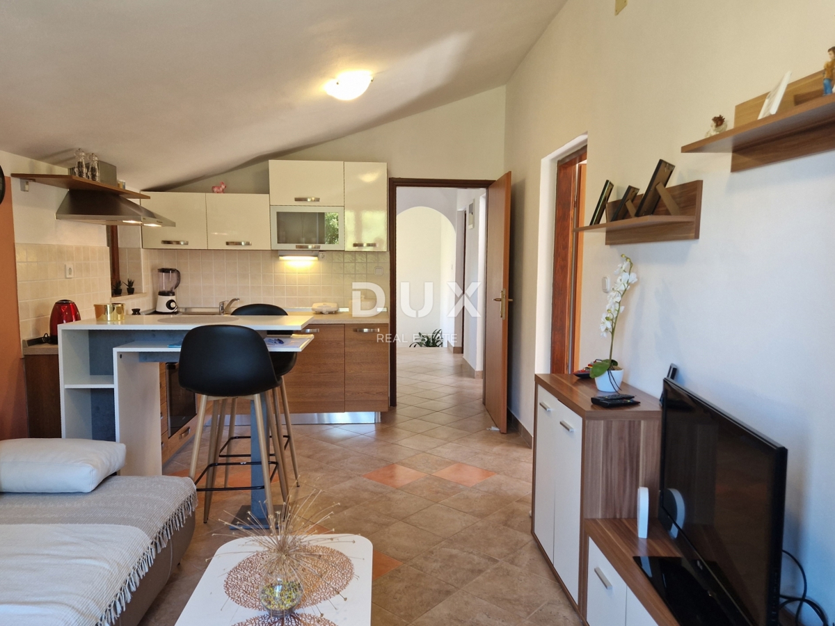 ISTRIA, ALBONA - Casa familiare