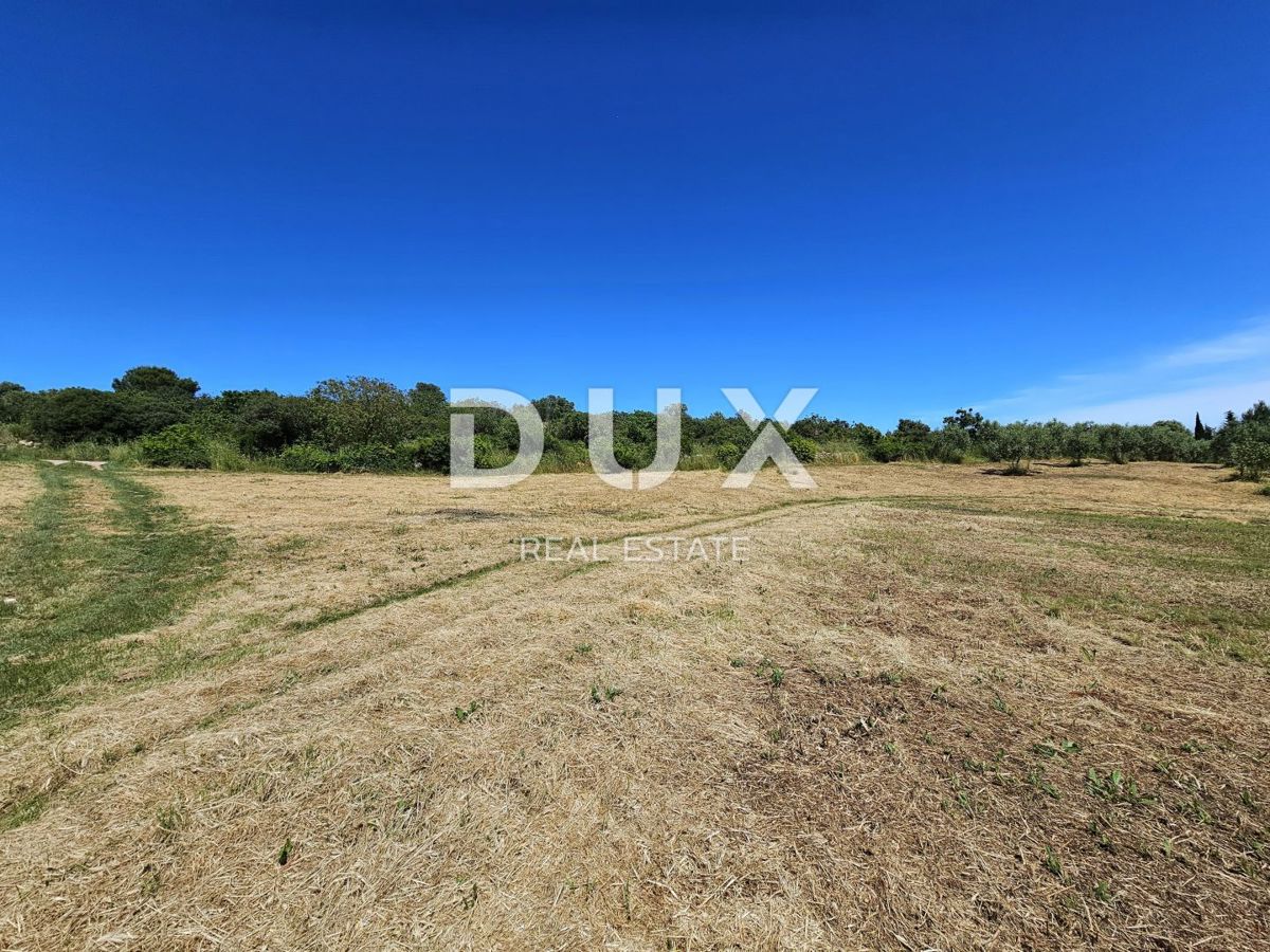 ISTRIA, POMER - Terreno edificabile curato con vista mare e possibilità di costruire una villa più grande o un complesso di ville in riva al mare
