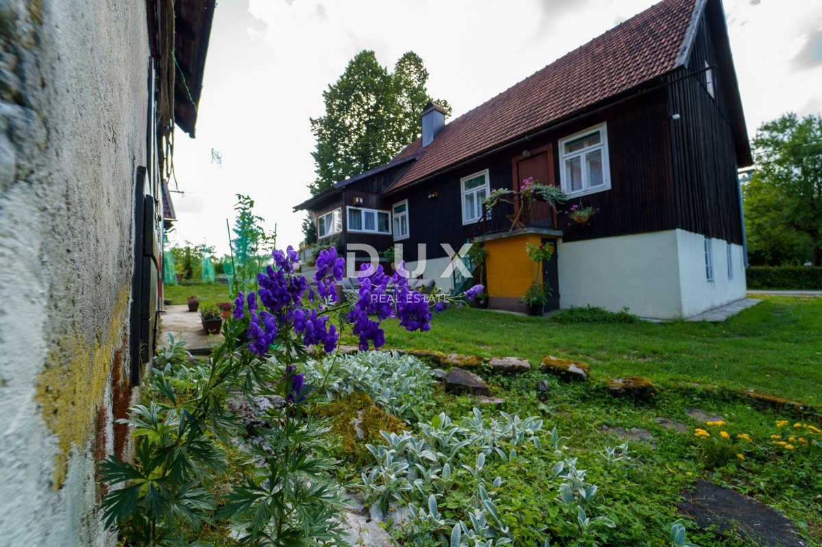 GORSKI KOTAR, DELNICE - progetto con 3 case per il turismo