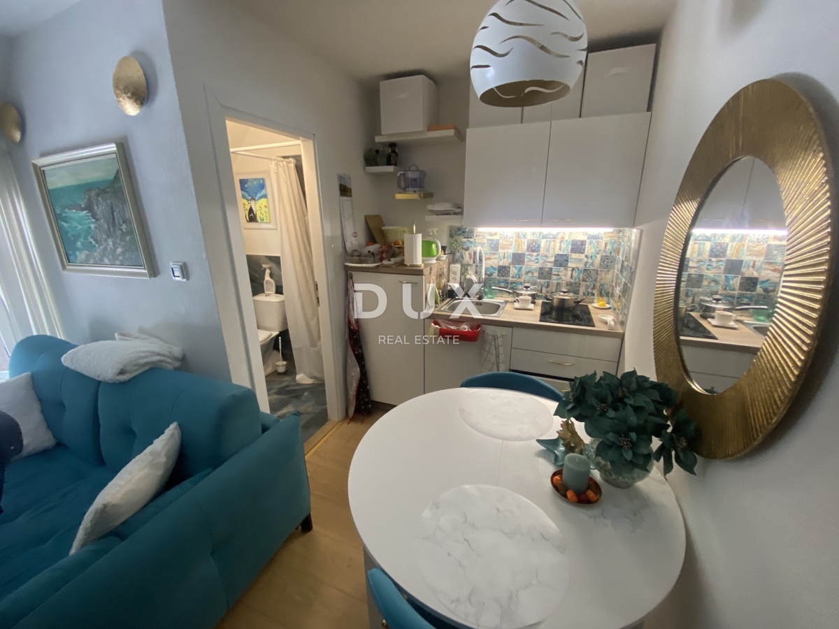 GORSKI KOTAR, DELNICE - progetto con 3 case per il turismo