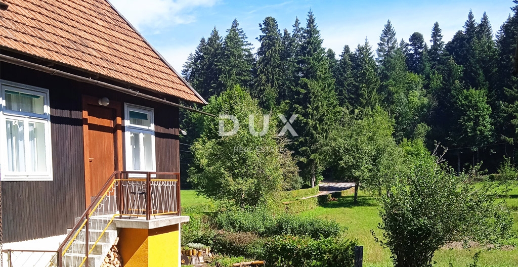 GORSKI KOTAR, DELNICE - progetto con 3 case per il turismo