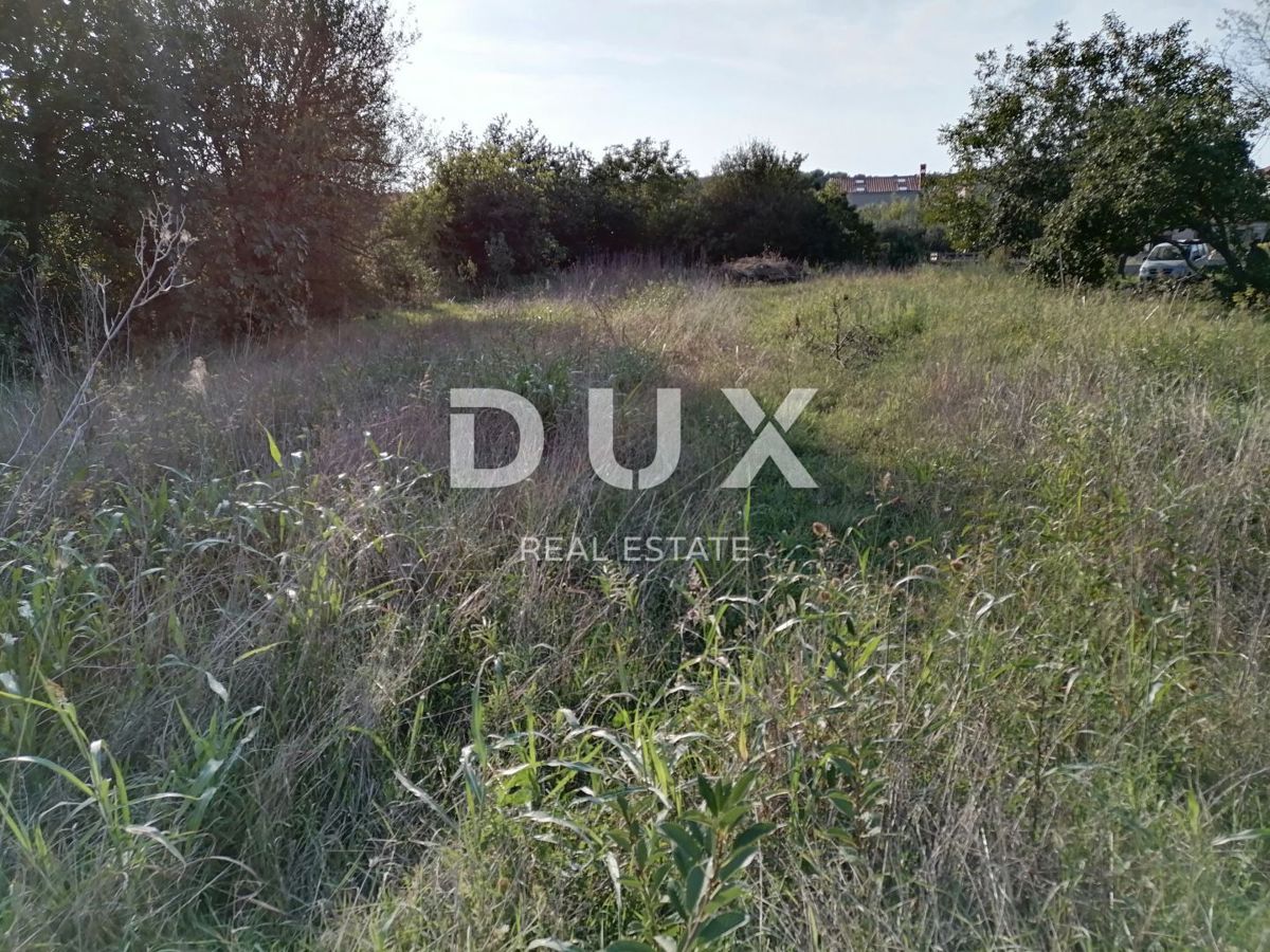 ISTRIA, POLA - Terreno edificabile su Busoler 1300 m2
