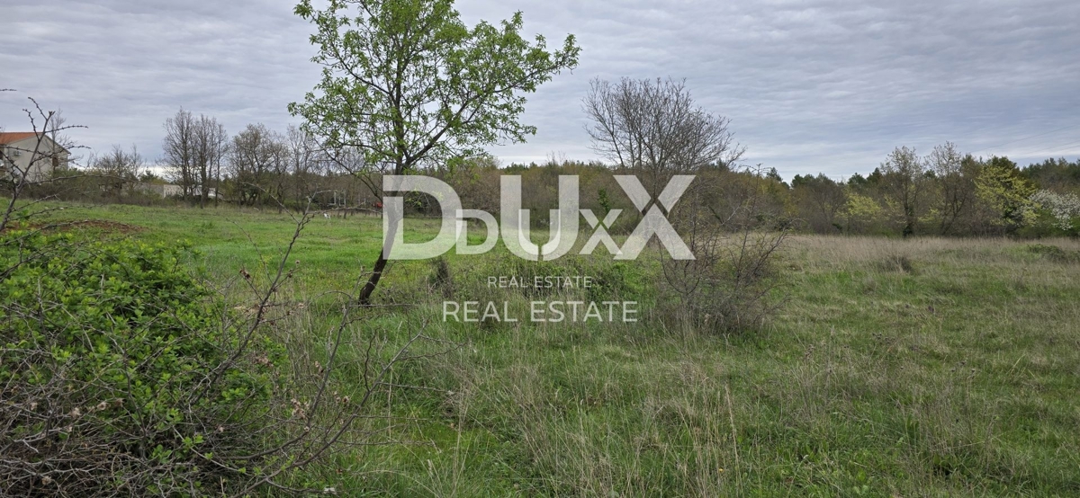 ISTRIA, SVETVINČENAT – Attraente terreno edificabile con un moderno progetto di casa e piscina