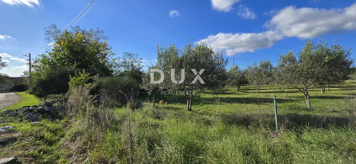 ISTRIA, PARENZO - Terreno edificabile vicino a Sveti Lovreč