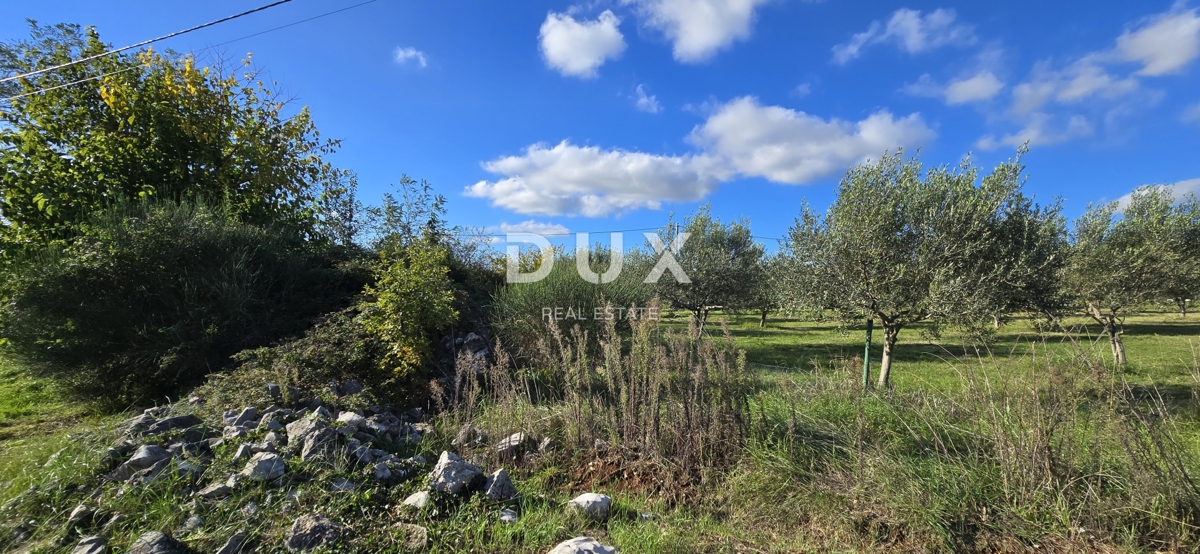 ISTRIA, PARENZO - Terreno edificabile vicino a Sveti Lovreč