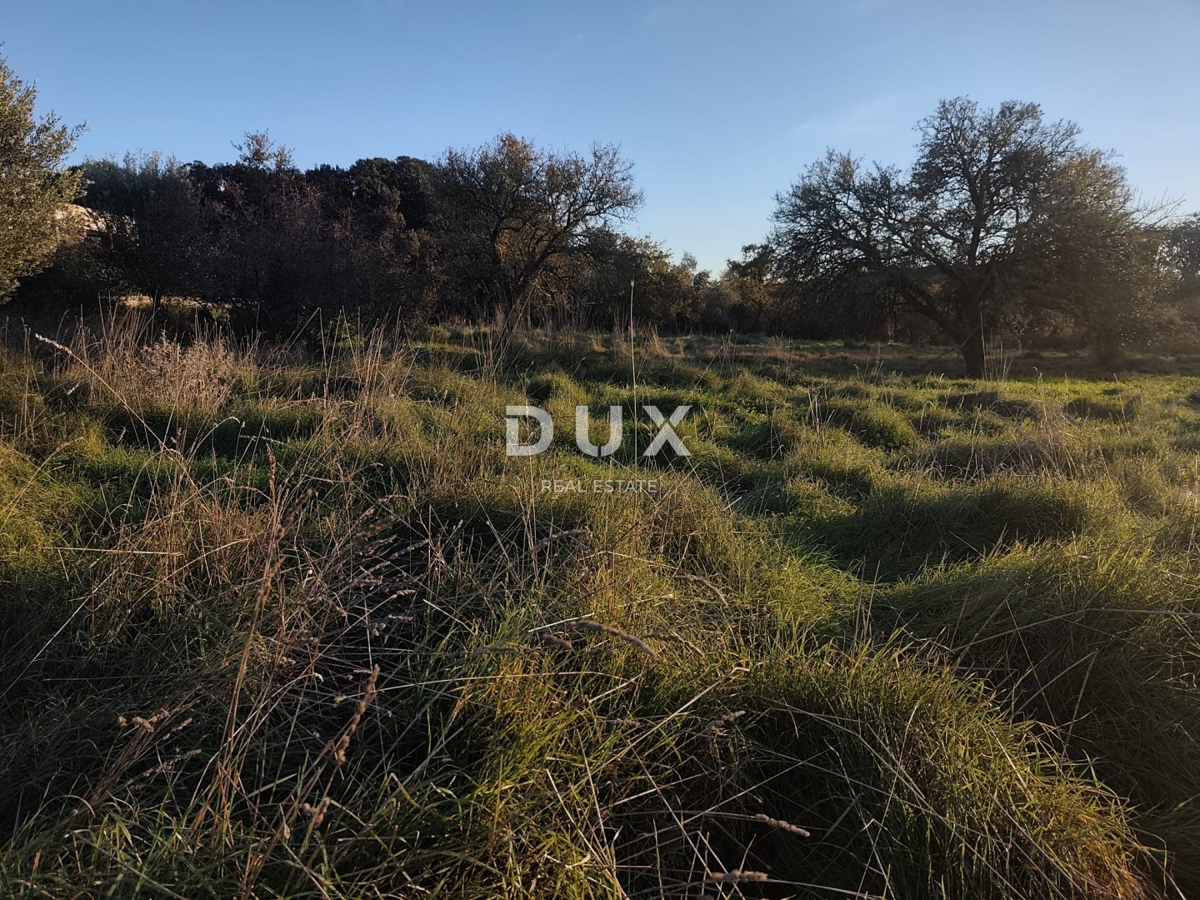 PULA, ŠTINJAN - Fantastico terreno edificabile