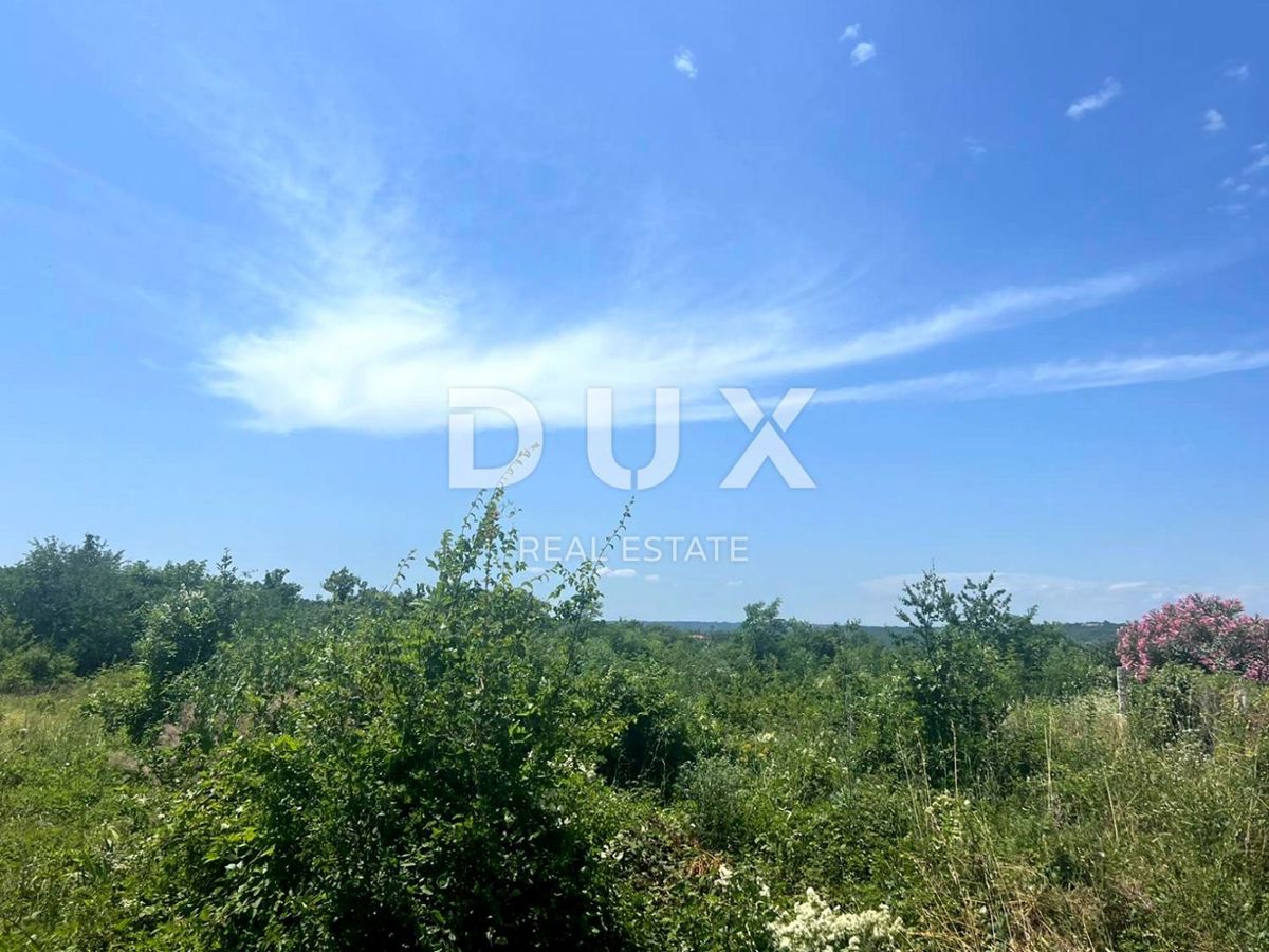 ISTRIA, ALBONA - Ampio terreno edificabile urbanizzato