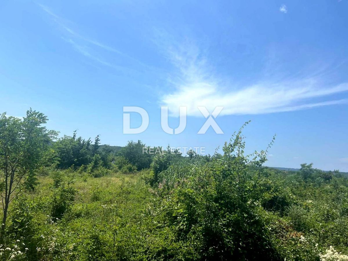 ISTRIA, ALBONA - Ampio terreno edificabile urbanizzato