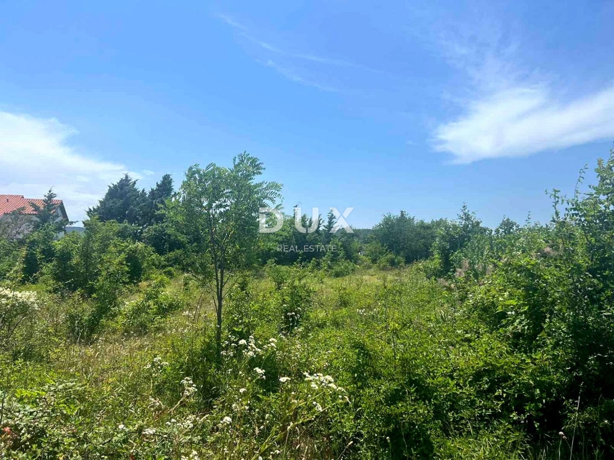 ISTRIA, ALBONA - Ampio terreno edificabile urbanizzato