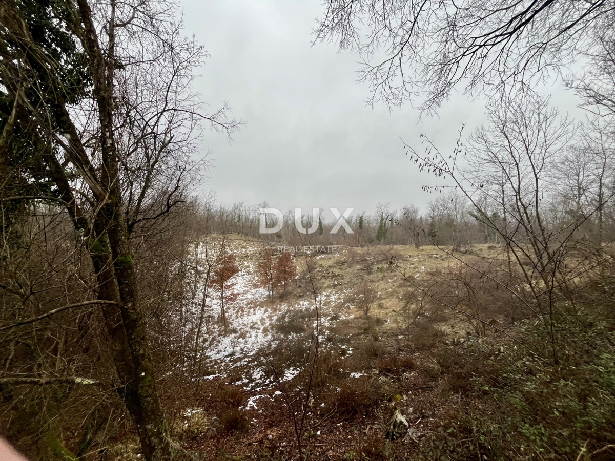 MATULJI, PERMANI - Ampio terreno agricolo lungo la strada principale