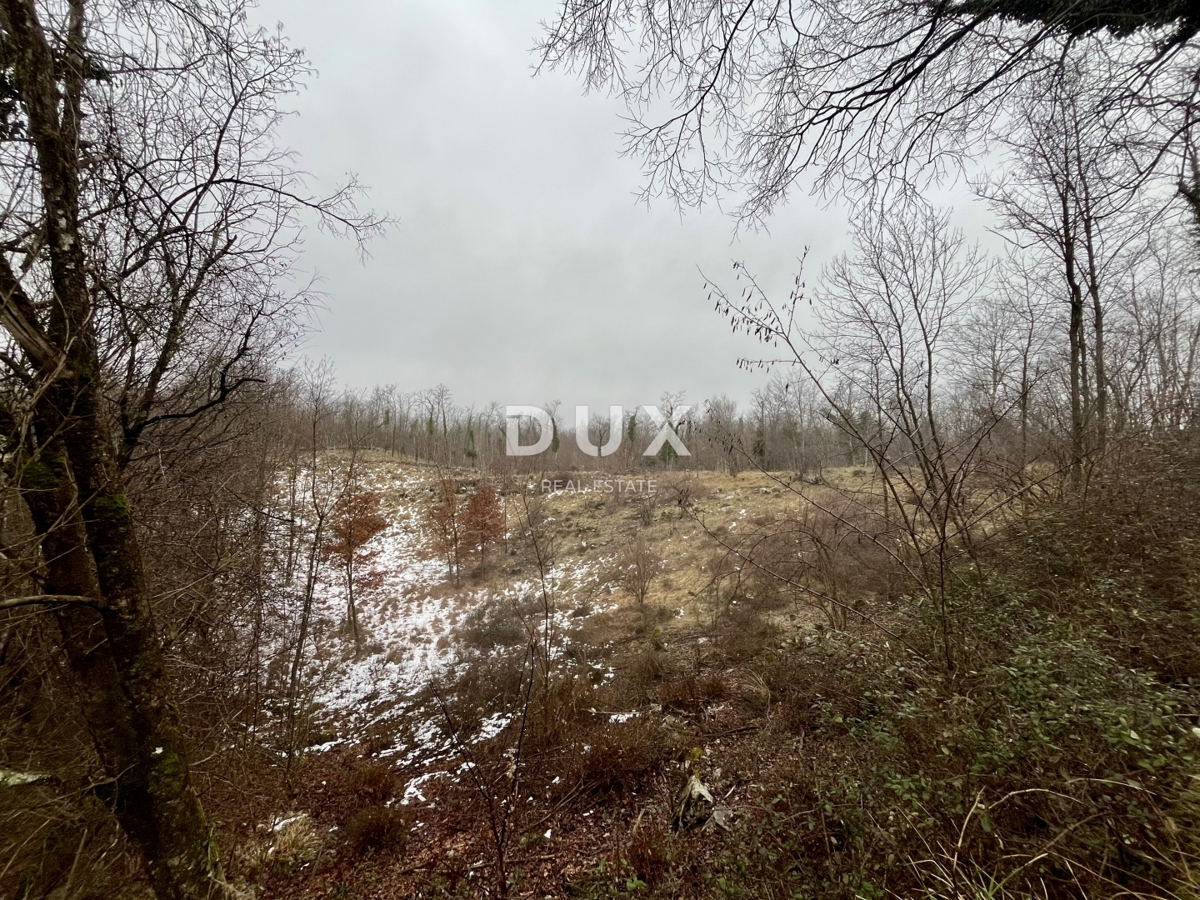 MATULJI, PERMANI - Ampio terreno agricolo lungo la strada principale