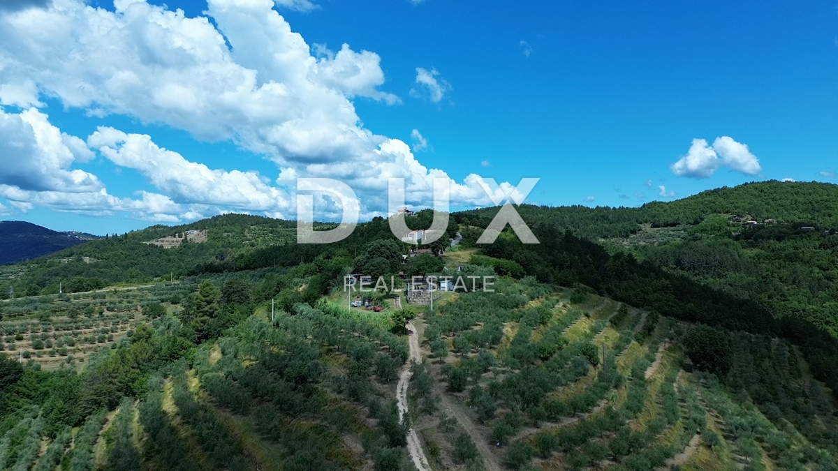 ISTRIA, MOTOVUN - Grande tenuta di 170.000 m2, la vista più bella dell'Istria - Lago Butoniga, Učka, Ćićarija, Montona e la foresta del tartufo di Montona!