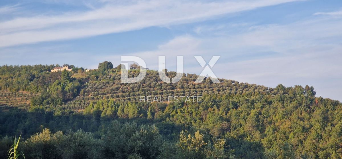 ISTRIA, MOTOVUN - Grande tenuta di 170.000 m2, la vista più bella dell'Istria - Lago Butoniga, Učka, Ćićarija, Montona e la foresta del tartufo di Montona!