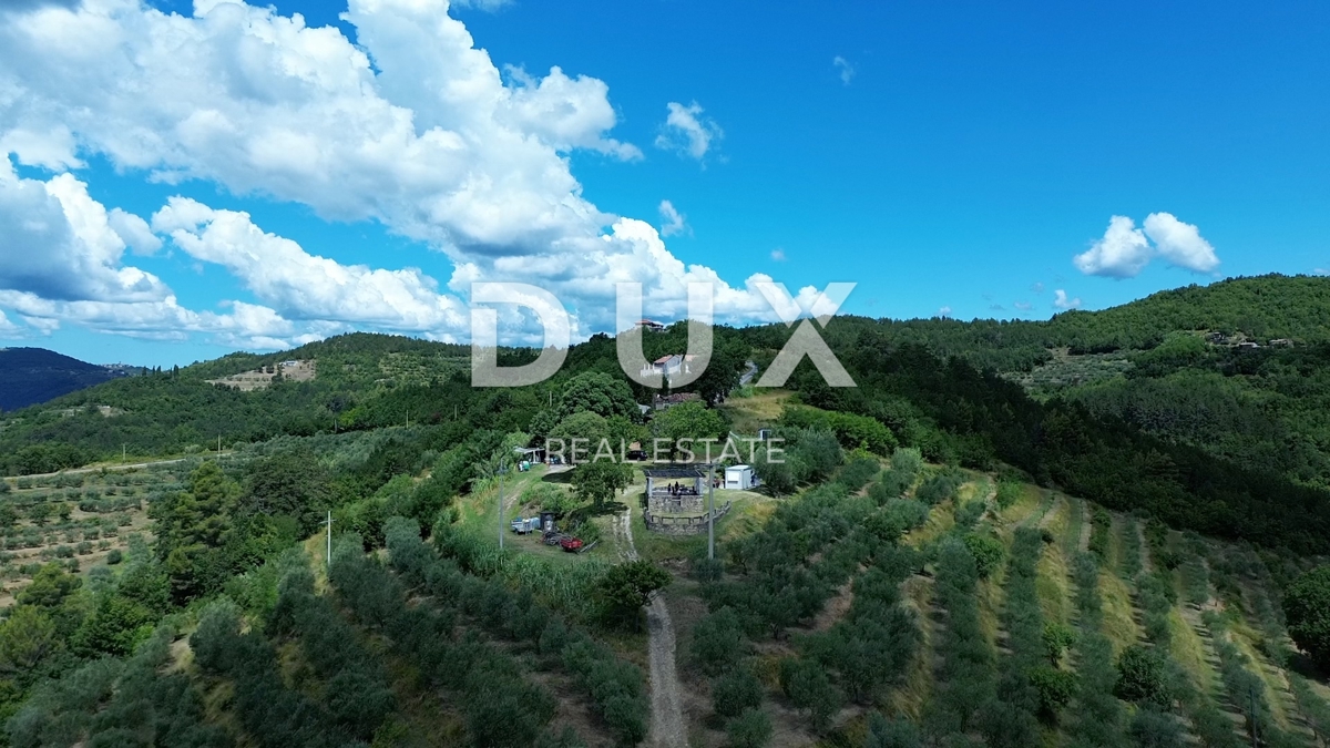 ISTRIA, MOTOVUN - Grande tenuta di 170.000 m2, la vista più bella dell'Istria - Lago Butoniga, Učka, Ćićarija, Montona e la foresta del tartufo di Montona!