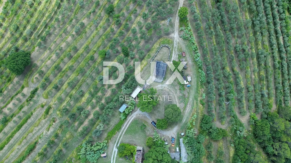 ISTRIA, MOTOVUN - Grande tenuta di 170.000 m2, la vista più bella dell'Istria - Lago Butoniga, Učka, Ćićarija, Montona e la foresta del tartufo di Montona!