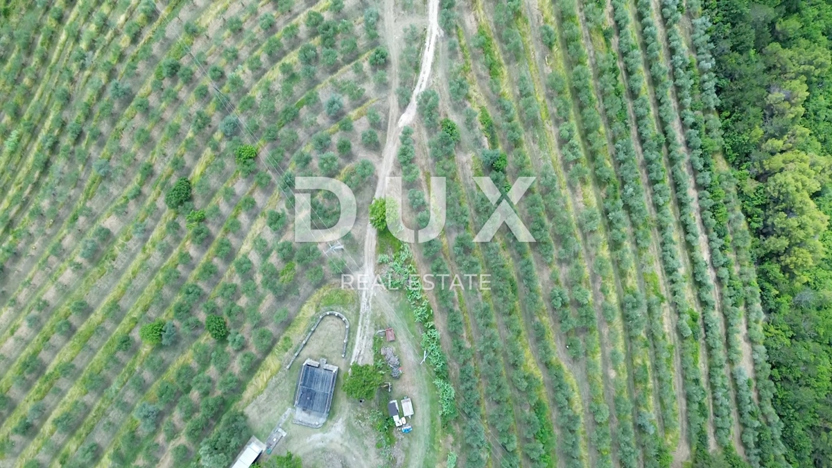 ISTRIA, MOTOVUN - Grande tenuta di 170.000 m2, la vista più bella dell'Istria - Lago Butoniga, Učka, Ćićarija, Montona e la foresta del tartufo di Montona!