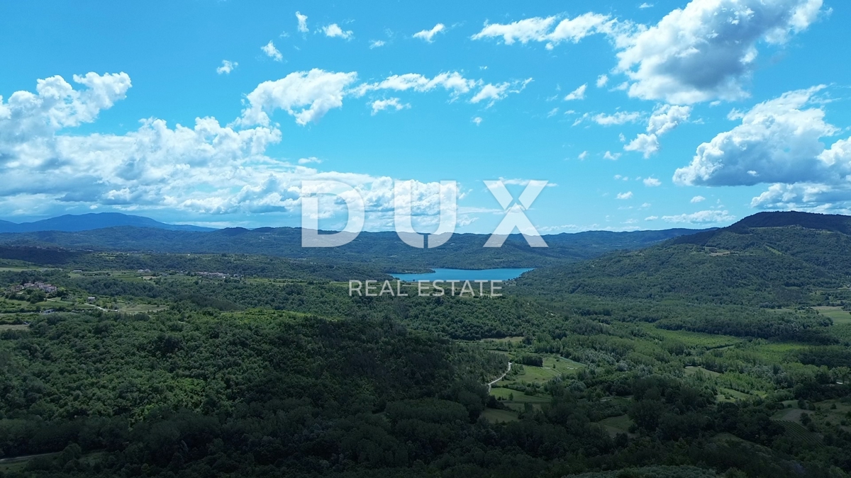 ISTRIA, MOTOVUN - Grande tenuta di 170.000 m2, la vista più bella dell'Istria - Lago Butoniga, Učka, Ćićarija, Montona e la foresta del tartufo di Montona!