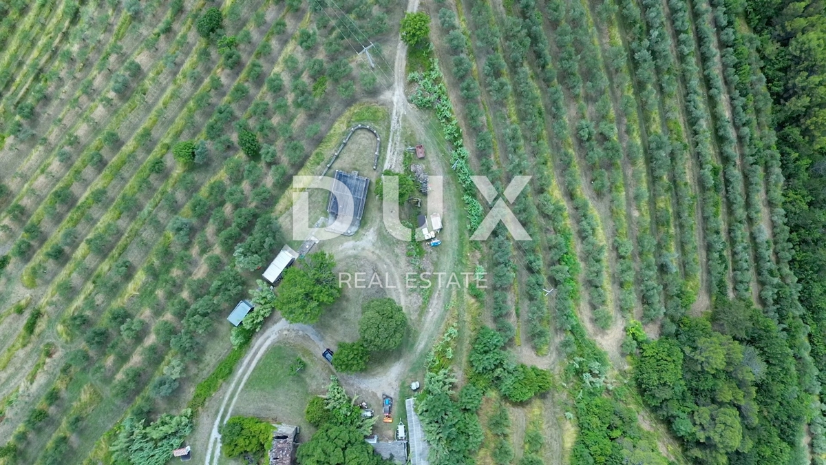 ISTRIA, MOTOVUN - Grande tenuta di 170.000 m2, la vista più bella dell'Istria - Lago Butoniga, Učka, Ćićarija, Montona e la foresta del tartufo di Montona!