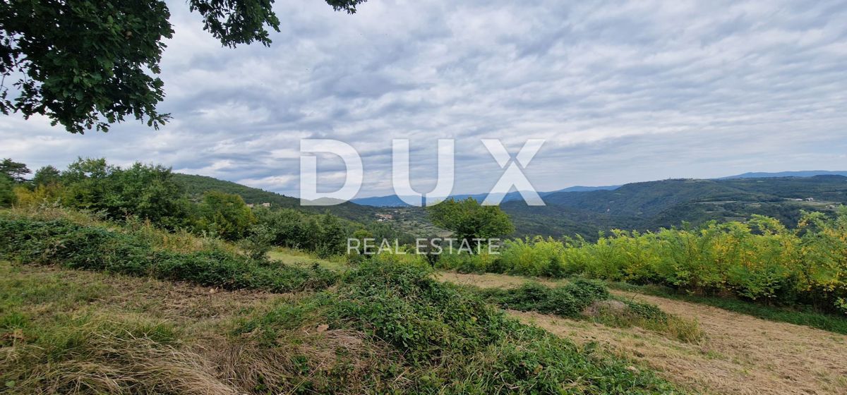 ISTRIA, MOTOVUN - Grande tenuta di 170.000 m2, la vista più bella dell'Istria - Lago Butoniga, Učka, Ćićarija, Montona e la foresta del tartufo di Montona!