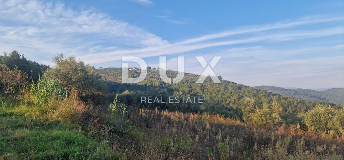 ISTRIA, MOTOVUN - Grande tenuta di 170.000 m2, la vista più bella dell'Istria - Lago Butoniga, Učka, Ćićarija, Montona e la foresta del tartufo di Montona!