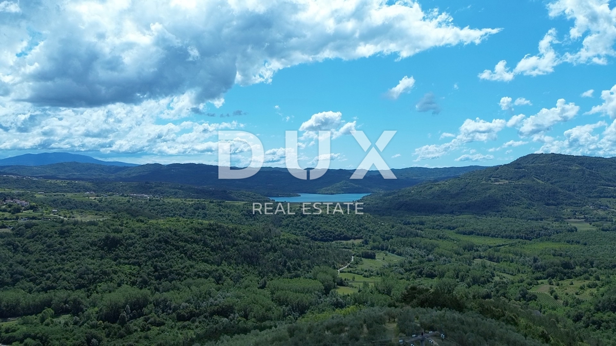 ISTRIA, MOTOVUN - Grande tenuta di 170.000 m2, la vista più bella dell'Istria - Lago Butoniga, Učka, Ćićarija, Montona e la foresta del tartufo di Montona!