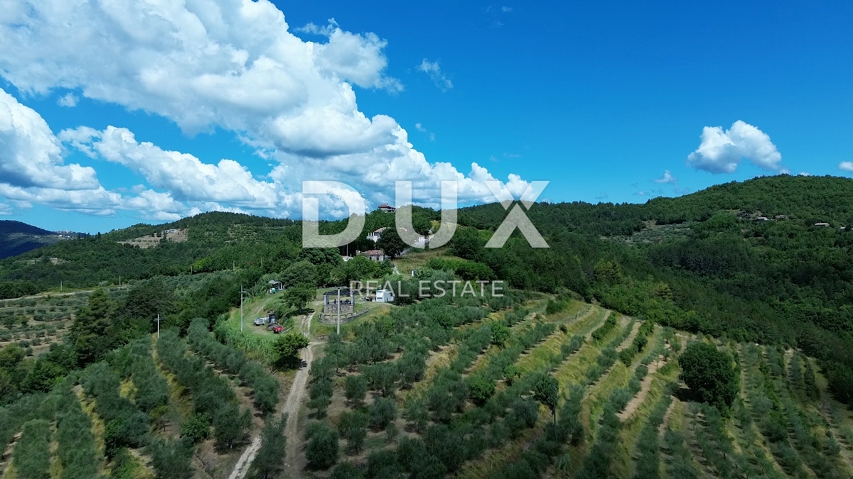 ISTRIA, MOTOVUN - Grande tenuta di 170.000 m2, la vista più bella dell'Istria - Lago Butoniga, Učka, Ćićarija, Montona e la foresta del tartufo di Montona!