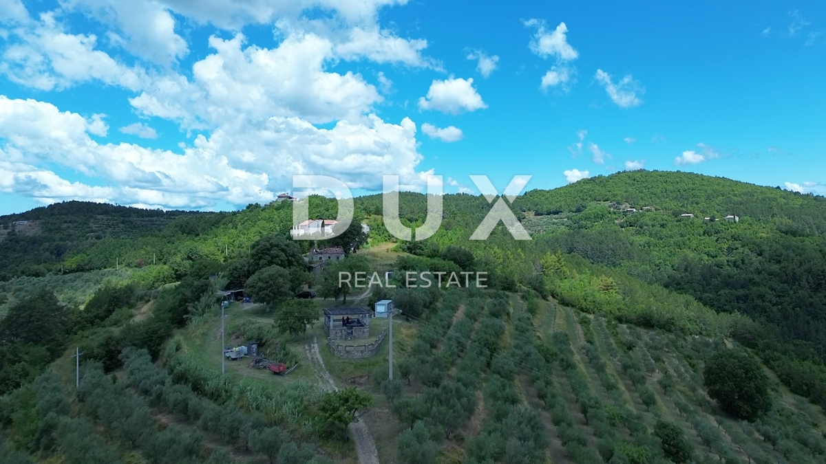 ISTRIA, MOTOVUN - Grande tenuta di 170.000 m2, la vista più bella dell'Istria - Lago Butoniga, Učka, Ćićarija, Montona e la foresta del tartufo di Montona!